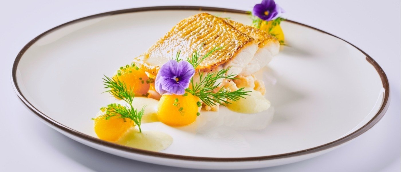 gourmet food dish - Wine Paths